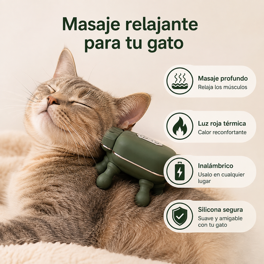 Meloow | El bienestar que tu gato merece